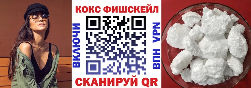 Cocaine Fish Scale где можно купить наркотик Киселёвск