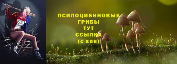 герыч Козельск