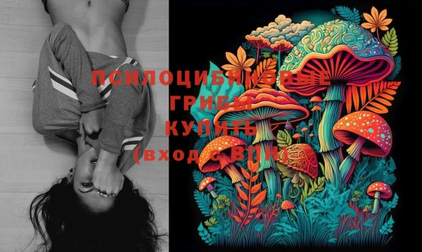 герыч Козельск