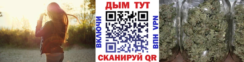 Марихуана план  Киселёвск 